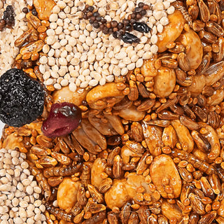 Close-up of a mixture of seeds, grains, and dried fruits.