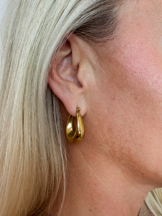 Splendid Iris Small Latch Back Hoops