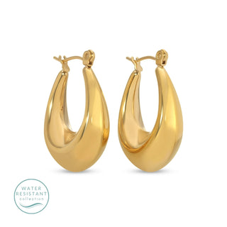 Splendid Iris Small Latch Back Hoops