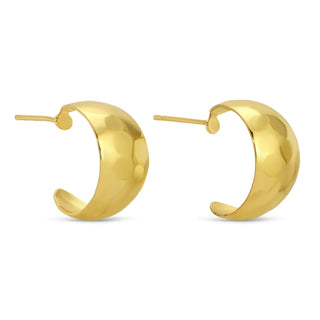 Splendid Iris Small Rounded Trending Hoops