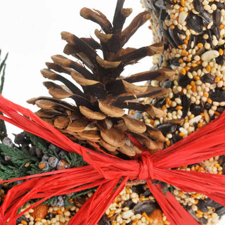 Birdseed wreath with pinecones and red ribbon on a white background