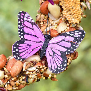 Butterfly-shaped bird feeder with seeds and nuts on a blurred green background