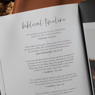 Esther | Seeing God When He Is Silent Devotional