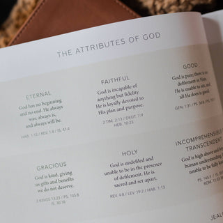 Esther | Seeing God When He Is Silent Devotional