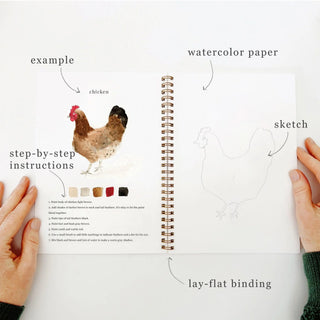 Water Color Workbook